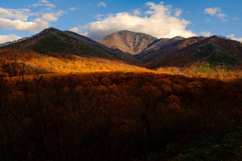 Great Smoky Mountains National Park Closes Due to High Winds