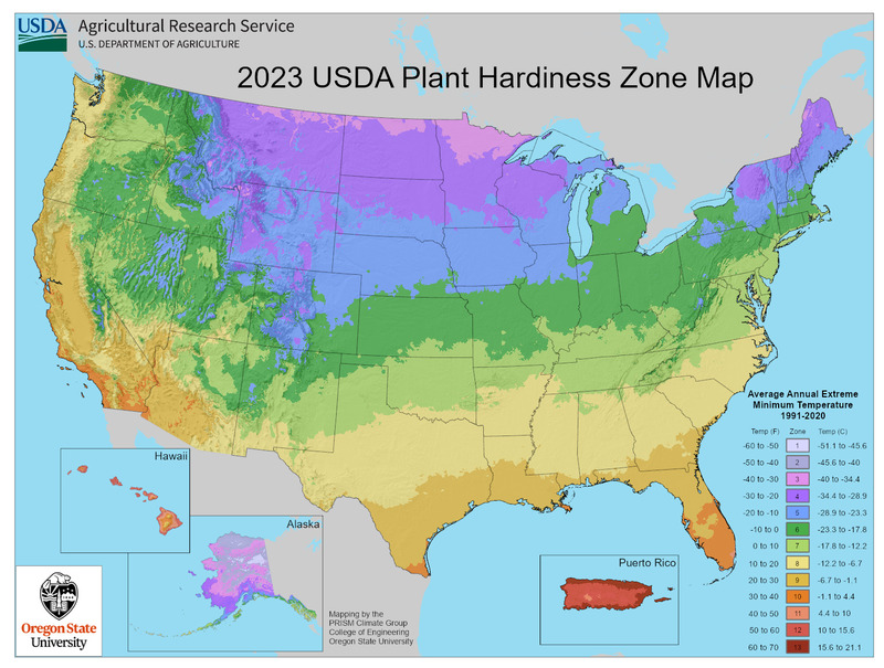Which Garden Plants Are Most Likely to Survive? This Map Shows Plans for a Warmer America